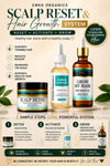 Scalp Reset & Hair Growth System | Scalp Detox + Follicle Activator + Hair Growth Oil for Thinning Hair & Shedding